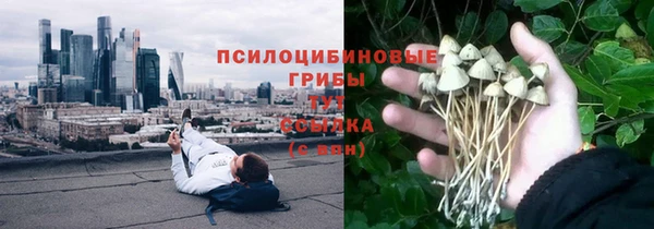 ГАЛЛЮЦИНОГЕННЫЕ ГРИБЫ Семилуки