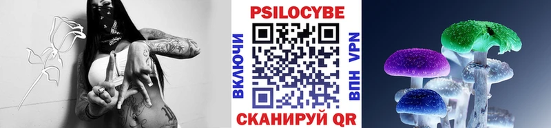 Галлюциногенные грибы Psilocybine cubensis  Купить закладки  Пестово 