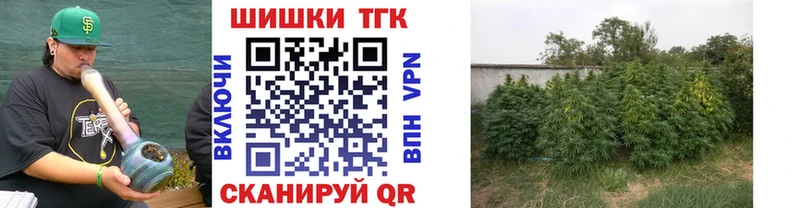 Купить закладки  Пестово  Канабис THC 21% 